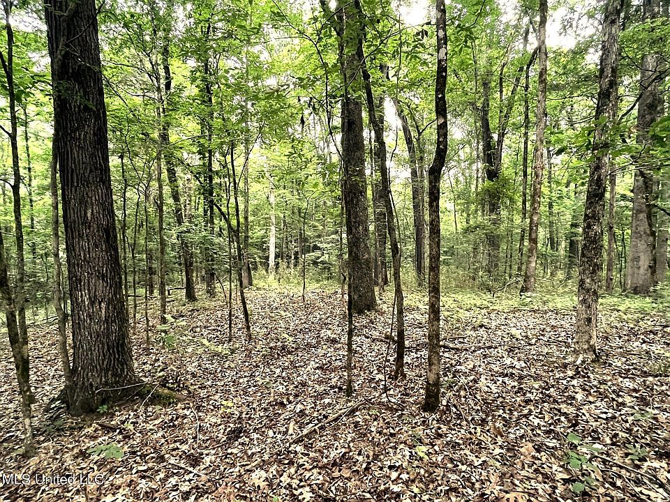 County Road 52, Vaiden, MS 39176 MLS 4050074 Zillow