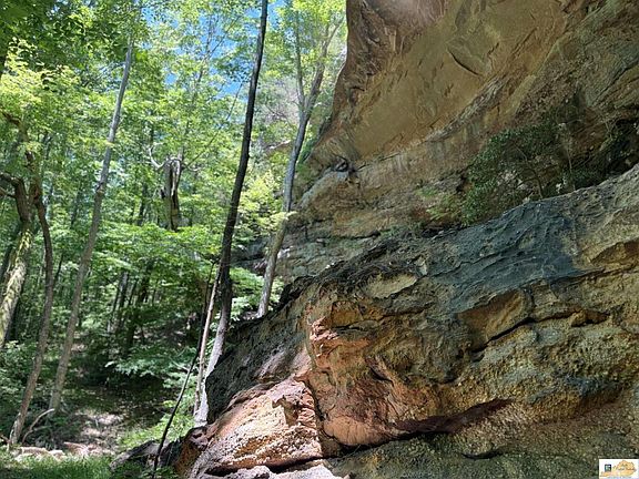 5th image of 2275 Skull Bone Tower Rd