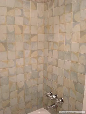 Rented by Pine Management, Inc. | media 18