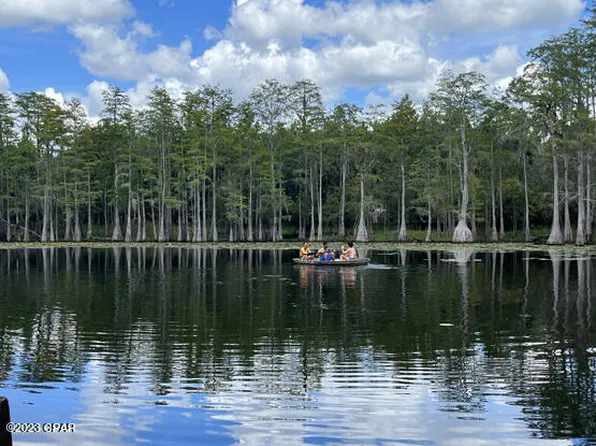 3163 River Rd, Vernon, FL 32462