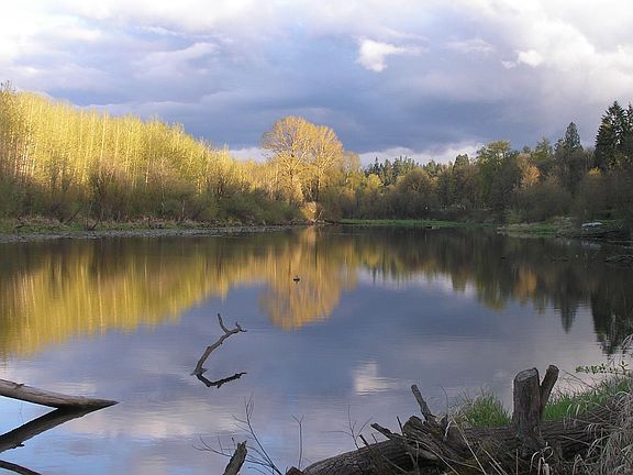 Beecher Lake looking south