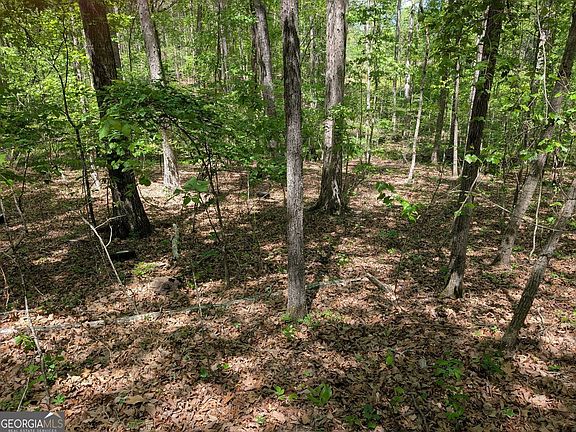 2nd image of 110 Honeysuckle Dr
