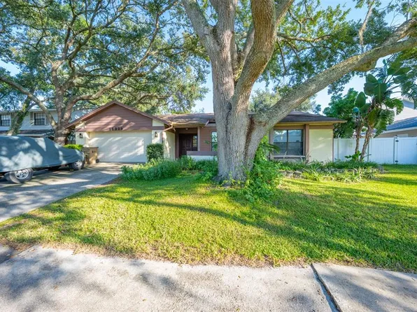12929 Rain Forest St, Temple Terrace, FL 33617
