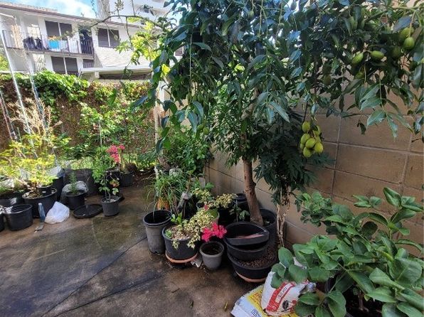 honolulu-hawaii-300182202 picture