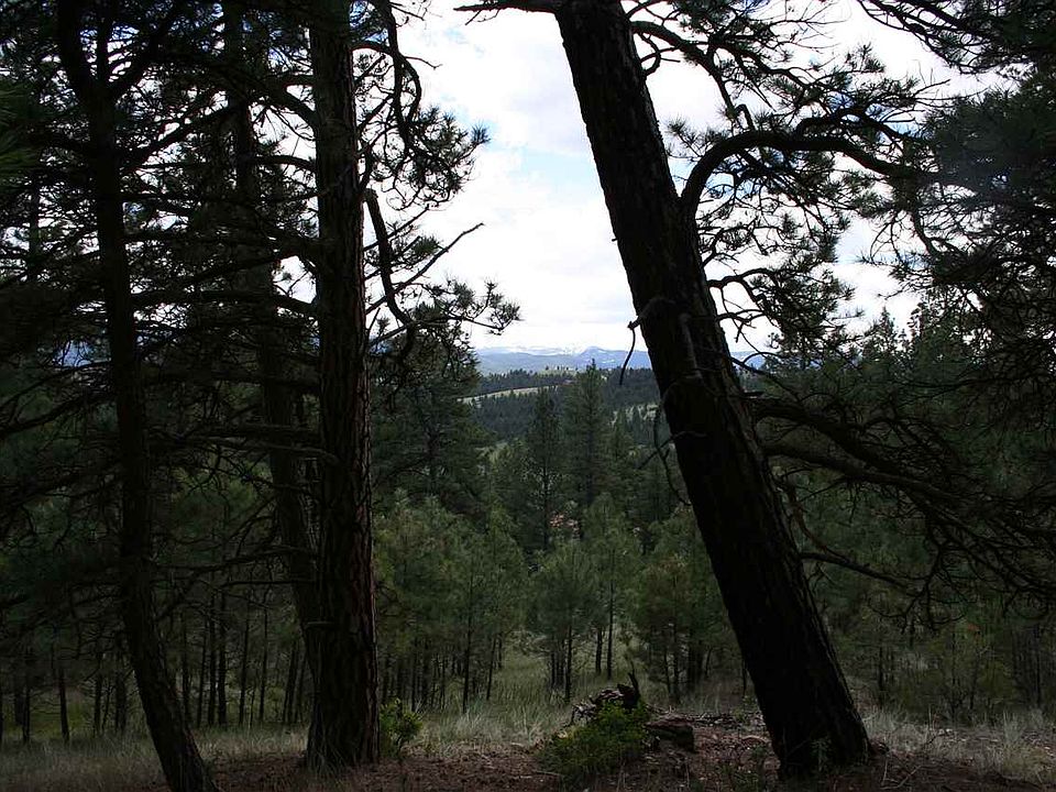 2nd image of 32 Tundra Ridge Rd
