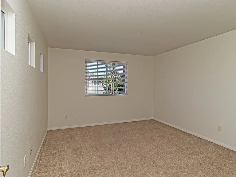 5571 Foxtail Loop — Photo 28