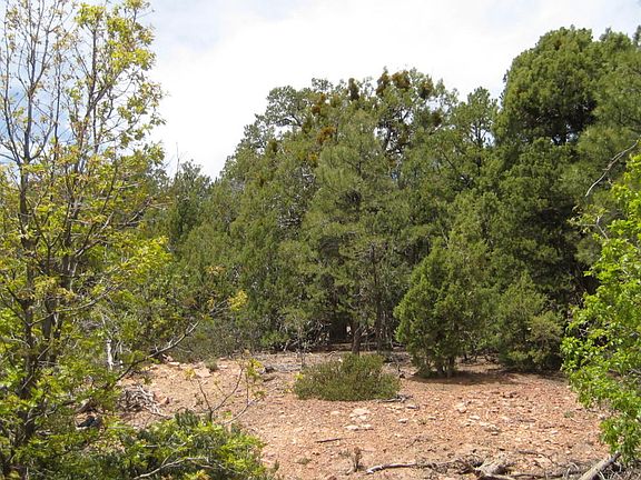 2nd image of 974 Navajo Trl