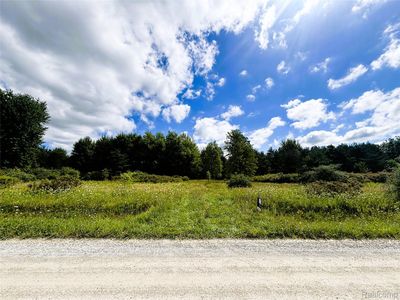 Eagling Rd, Riley, MI, 48041