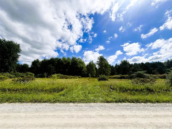 Eagling Rd, Riley, MI 48041