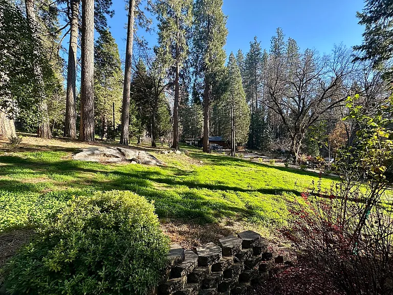 10891 Berggren Ln — Photo 8