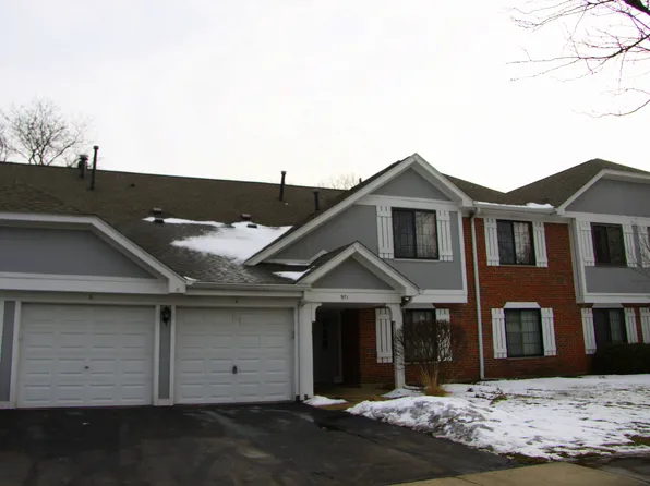 971 Yosemite Trl #3, Roselle, IL 60172