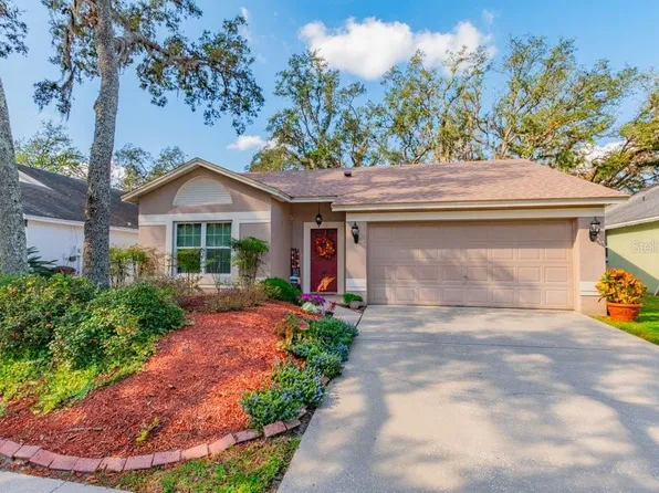 4009 Fontana Pl, Valrico, FL 33596