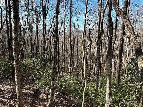 3rd image of Lot 122 Black Oak Drive