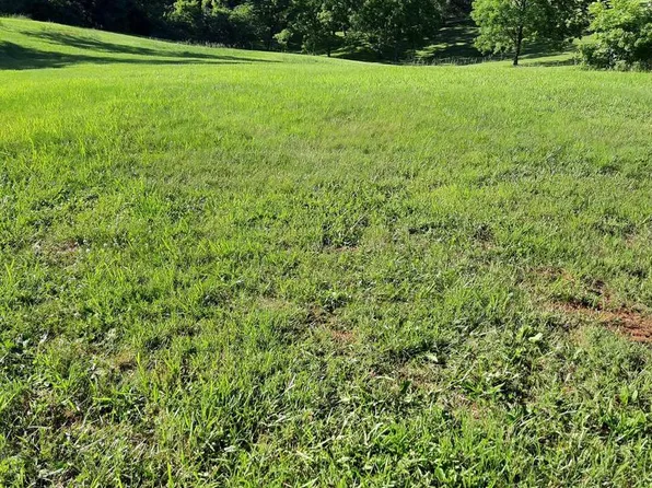 12216 Mount Zion Church Rd, Culpeper, VA 22701