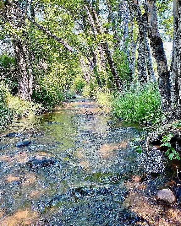 1st image of Shasta Ranch Rd N