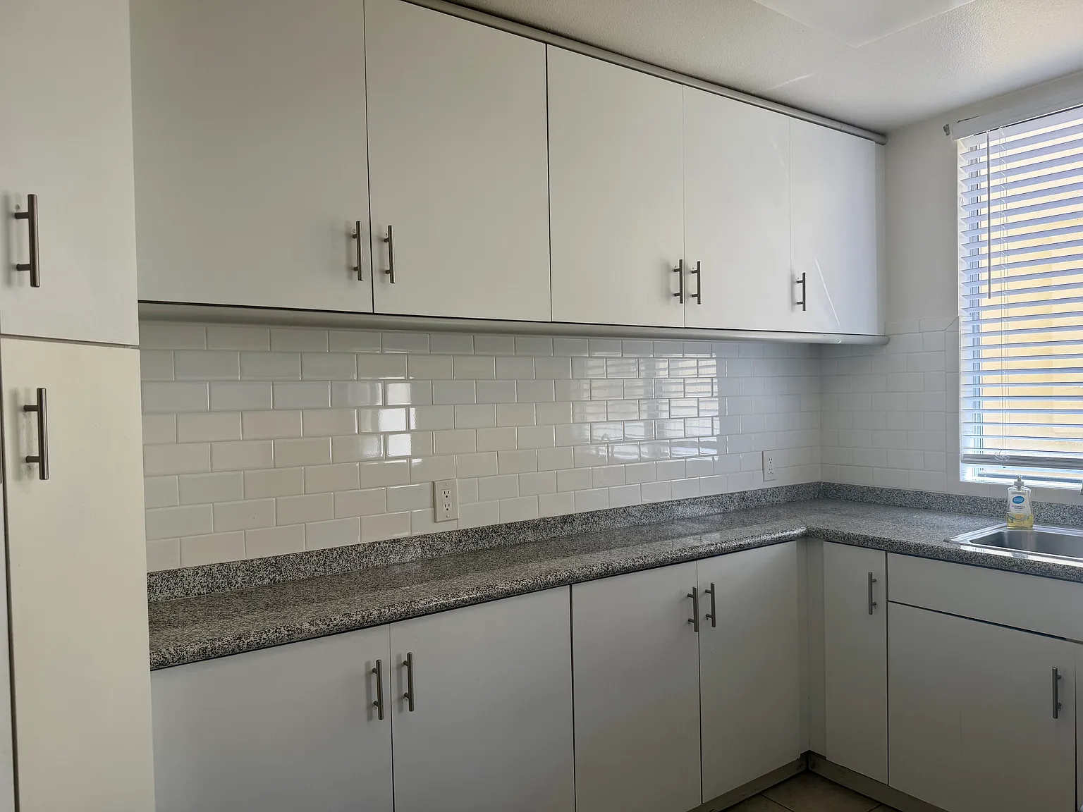 2 bed, 1000 sqft, $3,300 — Photo 4