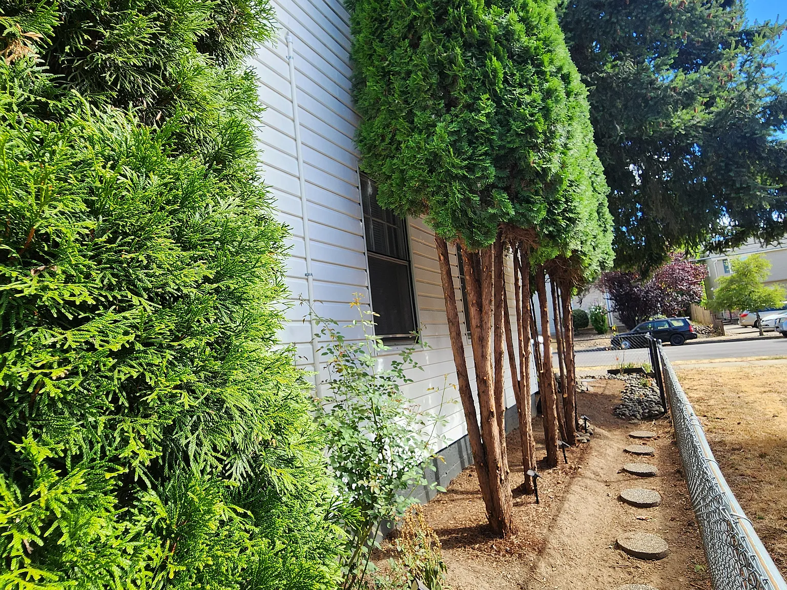 19th Ave, Forest Grove — Photo 4