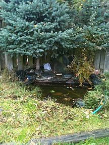 3rd image of 1127 N Bel Air Dr