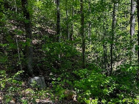 2nd image of 0 Rockhouse Rd Lot 48