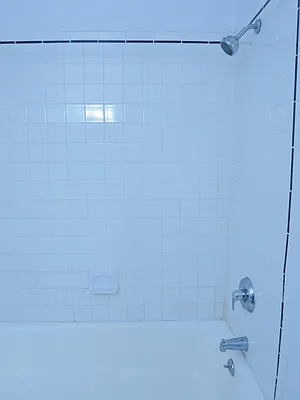 Rented by City & Suburban | media 31