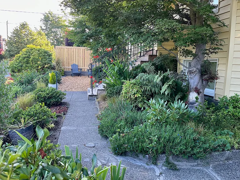 Front yard