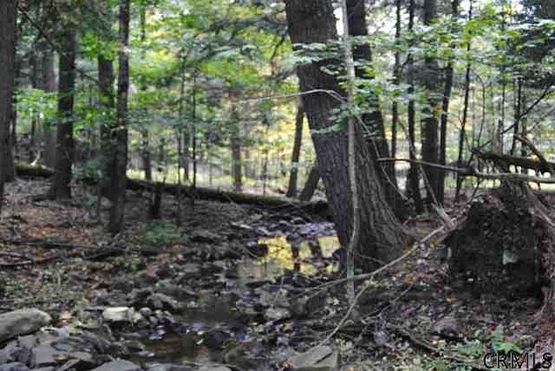 5th image of 0 COUNTY RT 26