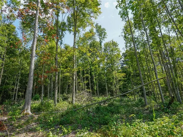 Gallia Blackfork Rd, Oak Hill, OH 45656