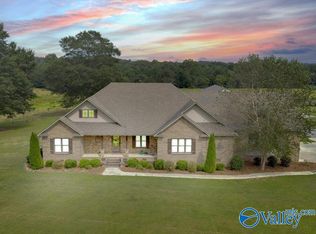 401 Mount Sinai Rd, Horton, AL 35980