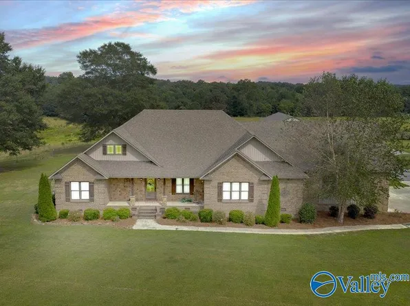 401 Mount Sinai Rd, Horton, AL 35980