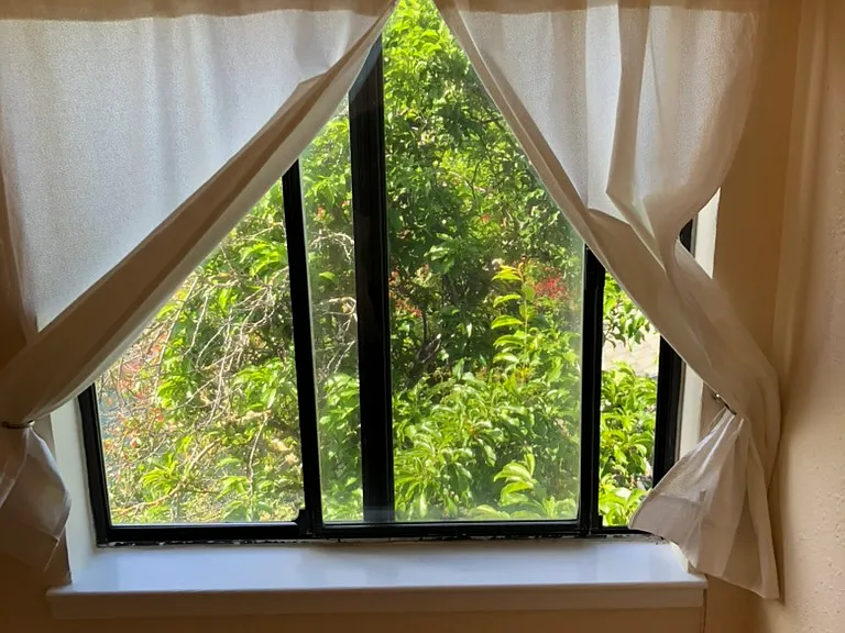 two windows give view of garden from stairwell