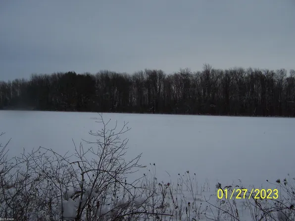 Cove Rd Lot B, Goodells, MI 48027