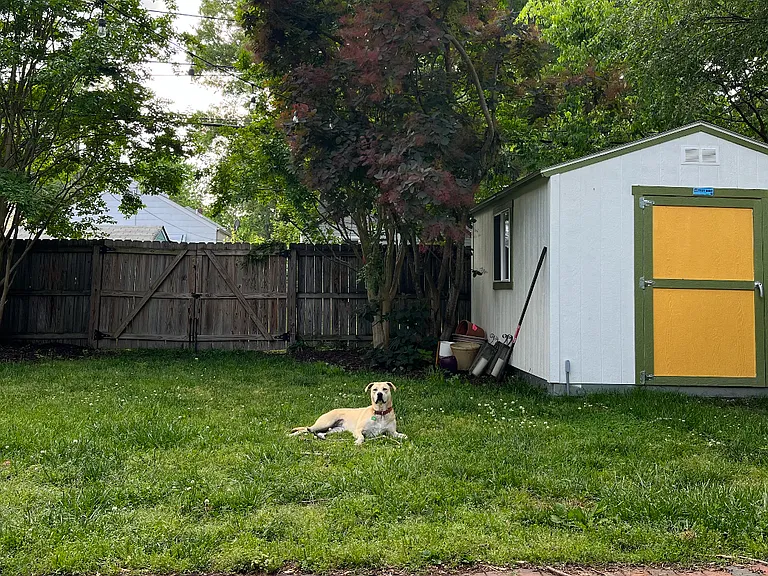 214 W Blake Ln — Photo 12