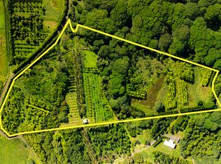 LOT 4 Lot 4, Hakalau, HI 96710