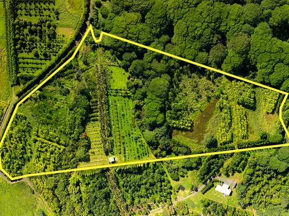 LOT 4 Lot 4, Hakalau, HI 96710