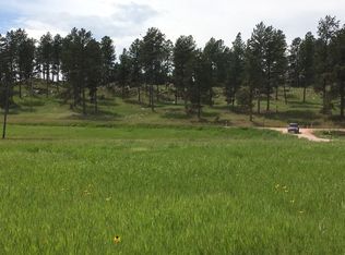 11895 Pleasant Valley Rd, Custer, SD 57730