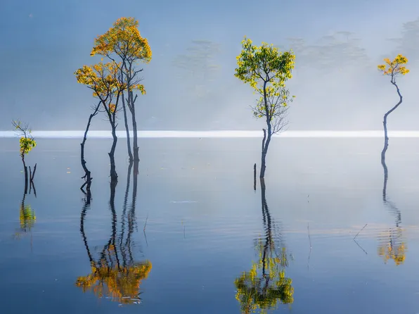 622 East 187th Street image 1 of 1