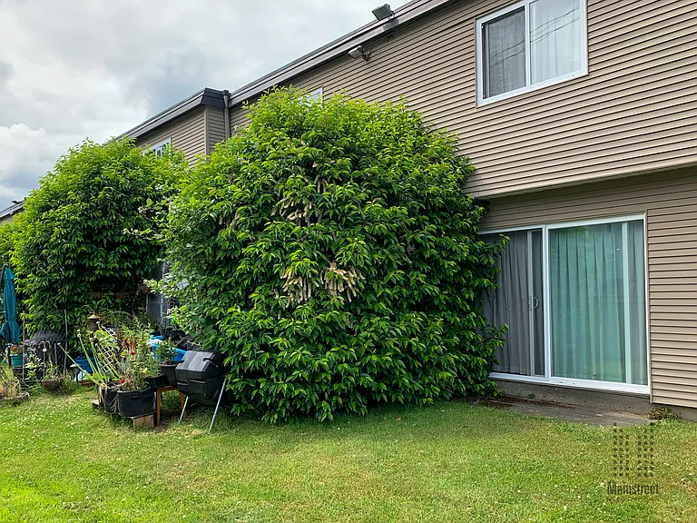 1060 Willemar Ave — Photo 11