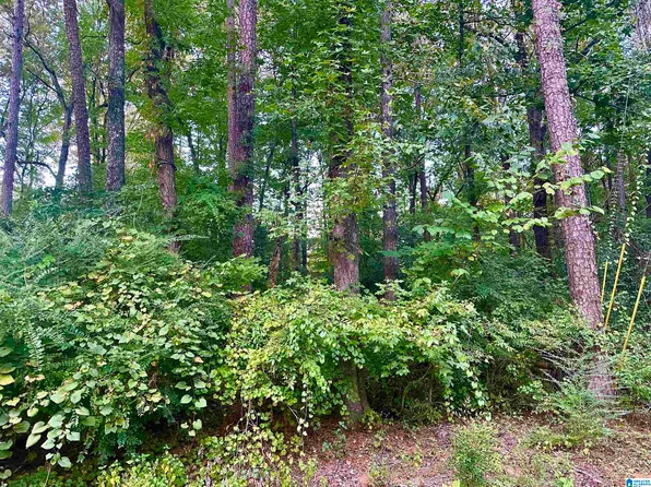 237 Sam Pate Dr #0, Birmingham, AL 35215