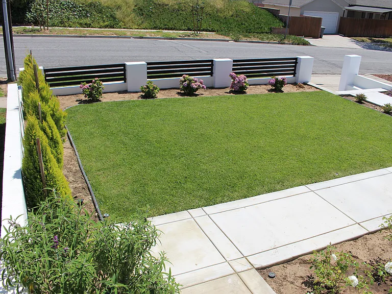 Front Yard