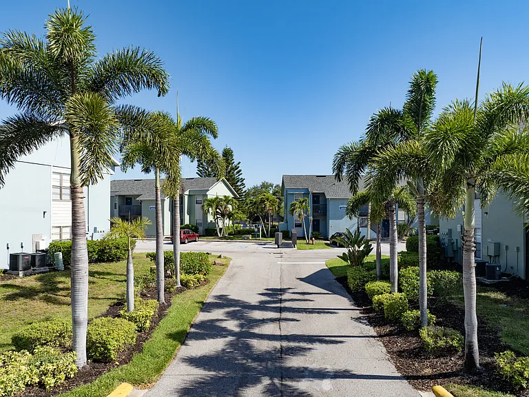 Palmera at Gandy — Photo 19