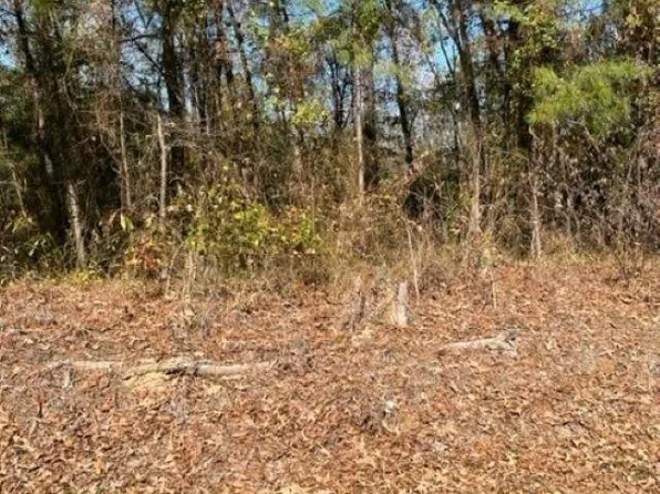 (undisclosed Address), Arkadelphia, AR 71923