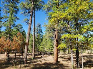 2470 San Juan Dr LOT 128, Happy Jack, AZ 86024