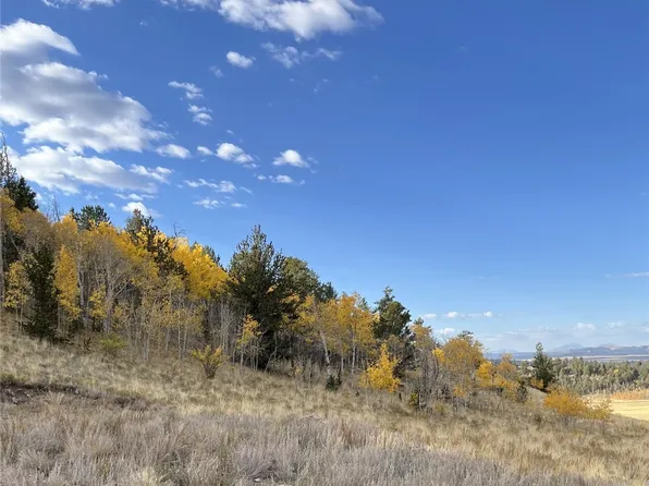 8494 Chickasaw Rd, Hartsel, CO 80449