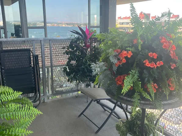 166-25 Powell Cove Boulevard image 32 of 35