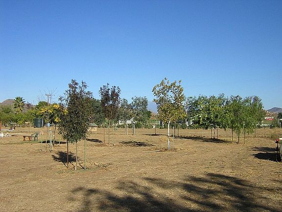 2.5 flat acres horses o.k.