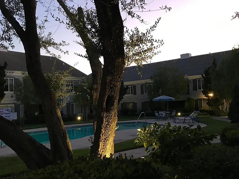View from your patio at sunset