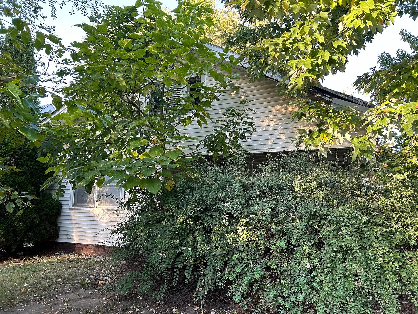 710 Florida St photo 1