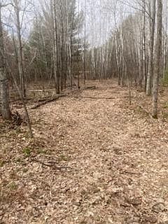2nd image of 249XX N Gile Rd
