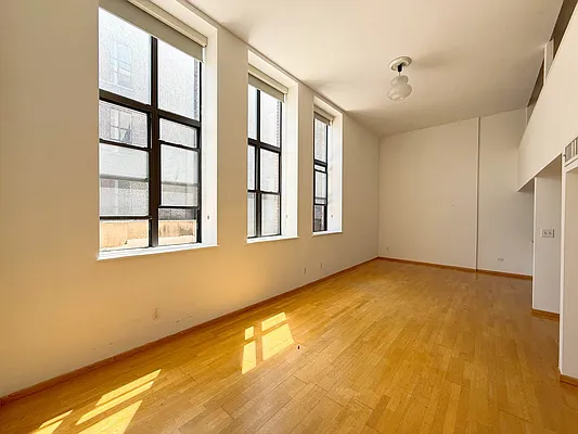 371 Madison Street #221 in Lower East Side, Manhattan