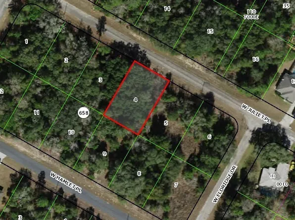 3102 W Juliet Pl, Citrus Springs, FL 34433